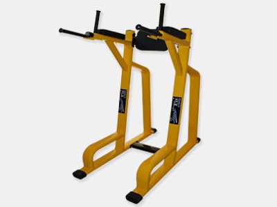 Vertical Knee Raise with Dip Station-bestseller